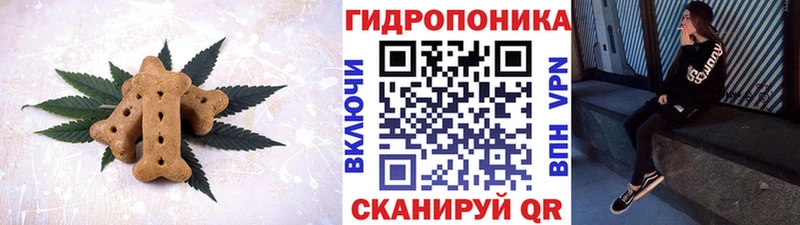 сайты даркнета телеграм  купить закладку  Курск  Canna-Cookies конопля 