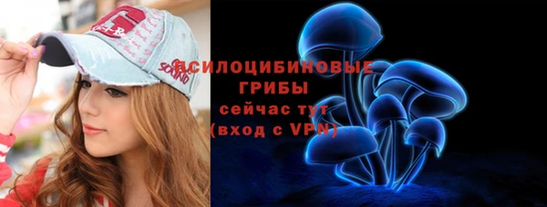 a pvp Гусь-Хрустальный