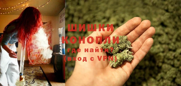 a pvp Гусь-Хрустальный